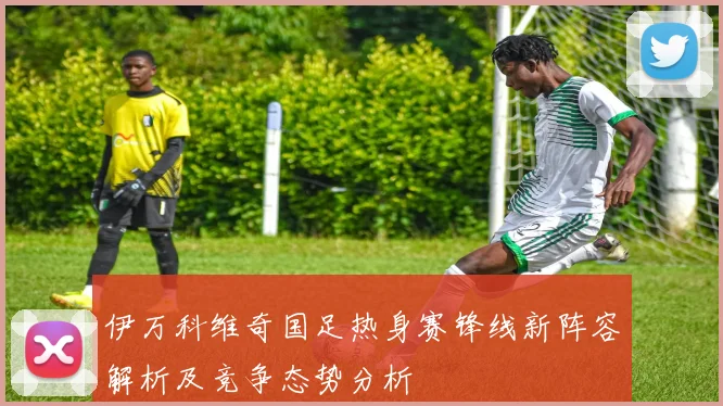 伊万科维奇国足热身赛锋线新阵容解析及竞争态势分析